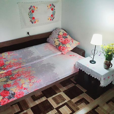 Etno Domacinstvo Saponjic Hotell Nova Varoš Exteriör bild