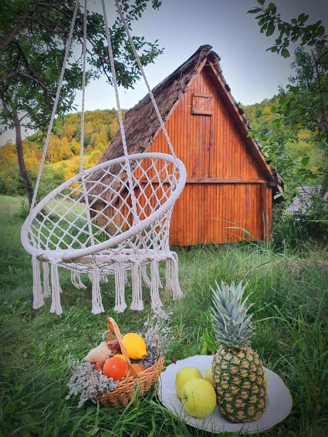 Etno Domacinstvo Saponjic Hotell Nova Varoš Exteriör bild