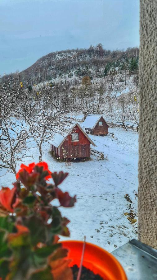Etno Domacinstvo Saponjic Hotell Nova Varoš Exteriör bild
