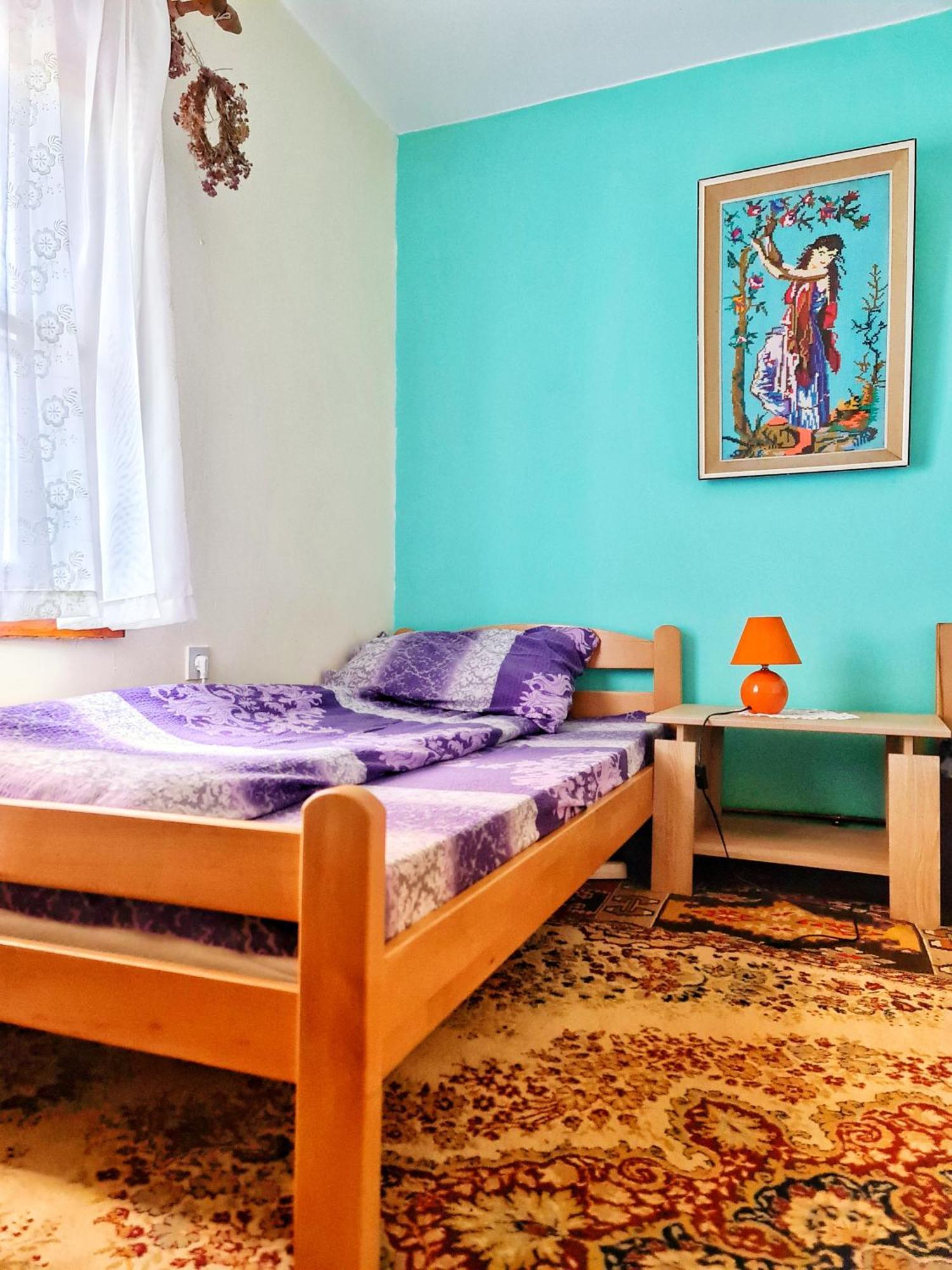 Etno Domacinstvo Saponjic Hotell Nova Varoš Rum bild