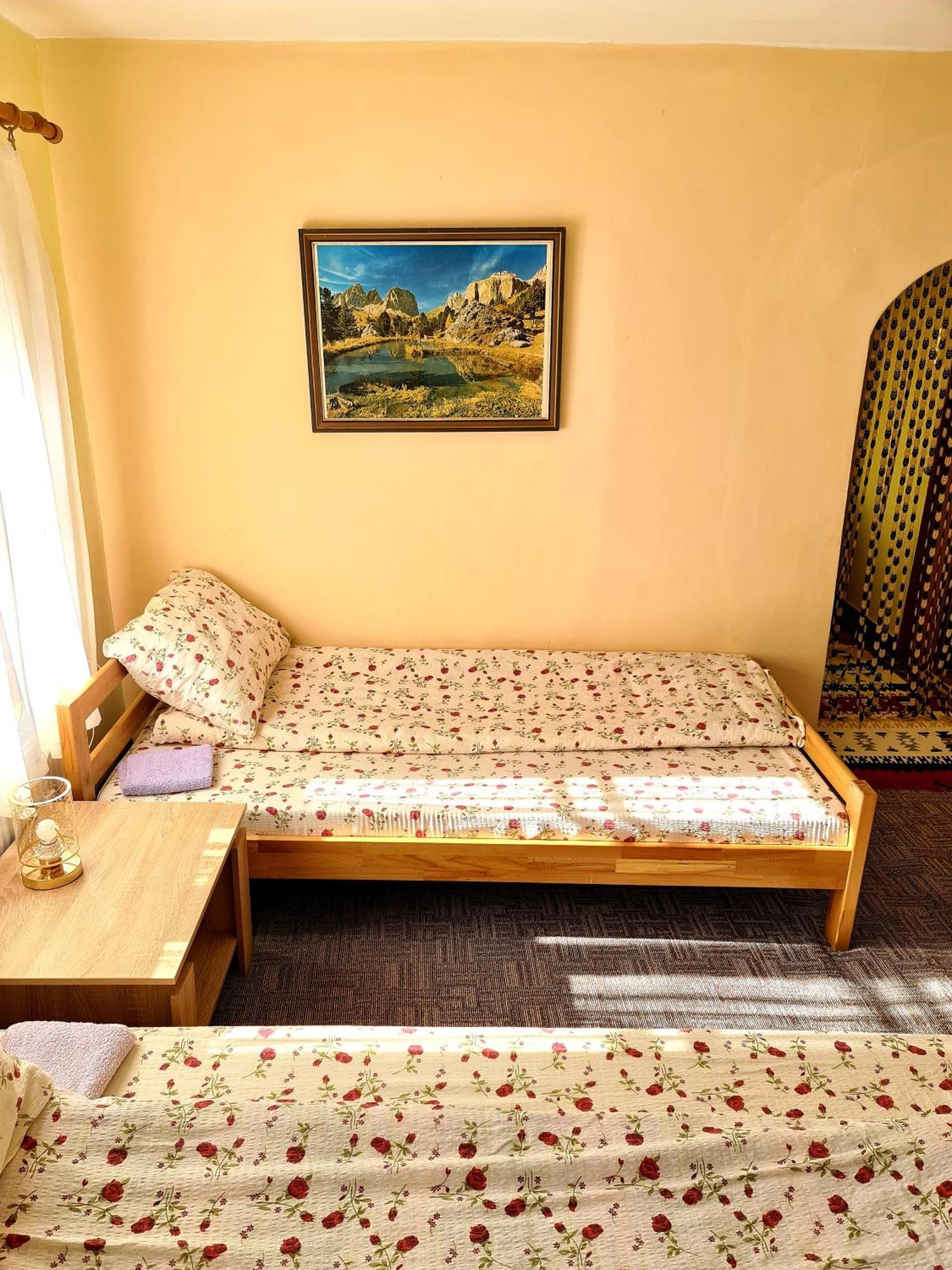 Etno Domacinstvo Saponjic Hotell Nova Varoš Rum bild