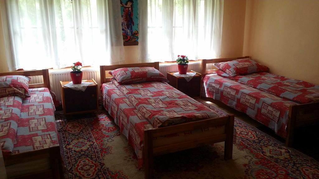 Etno Domacinstvo Saponjic Hotell Nova Varoš Exteriör bild