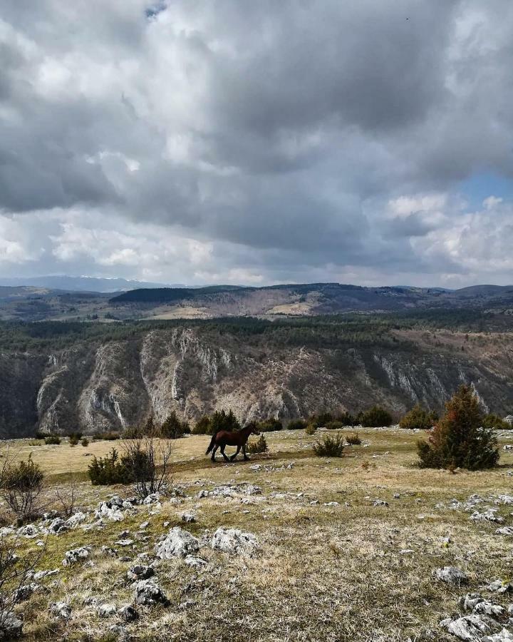Etno Domacinstvo Saponjic Hotell Nova Varoš Exteriör bild